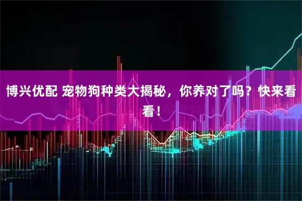 博兴优配 宠物狗种类大揭秘，你养对了吗？快来看看！