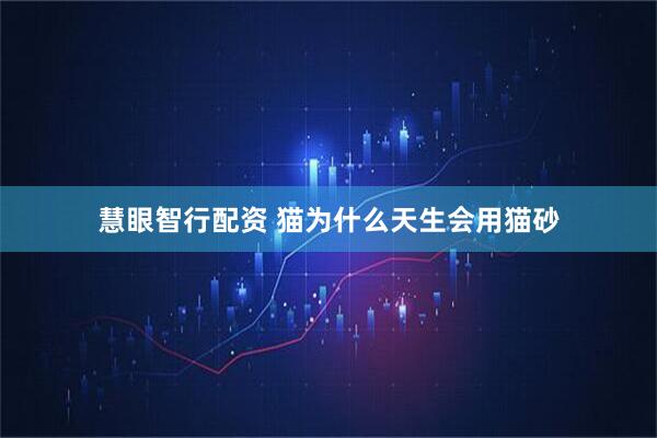 慧眼智行配资 猫为什么天生会用猫砂