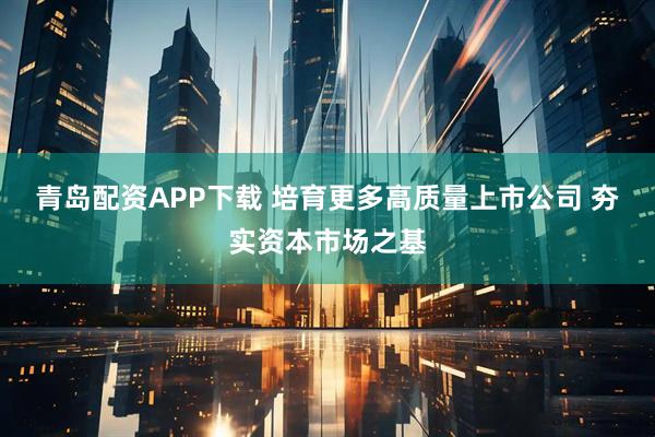 青岛配资APP下载 培育更多高质量上市公司 夯实资本市场之基